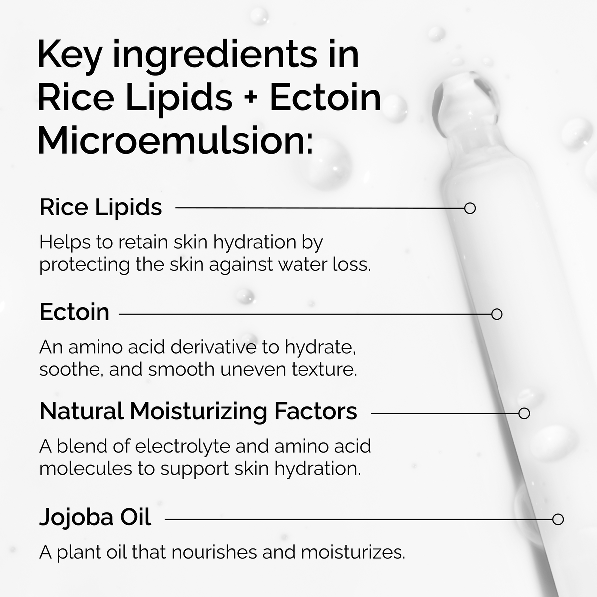 rice-lipids-ectoin-microemulsion-k1 ord-rice-lipids-ectoin-microemulsion-key-ingredients.png