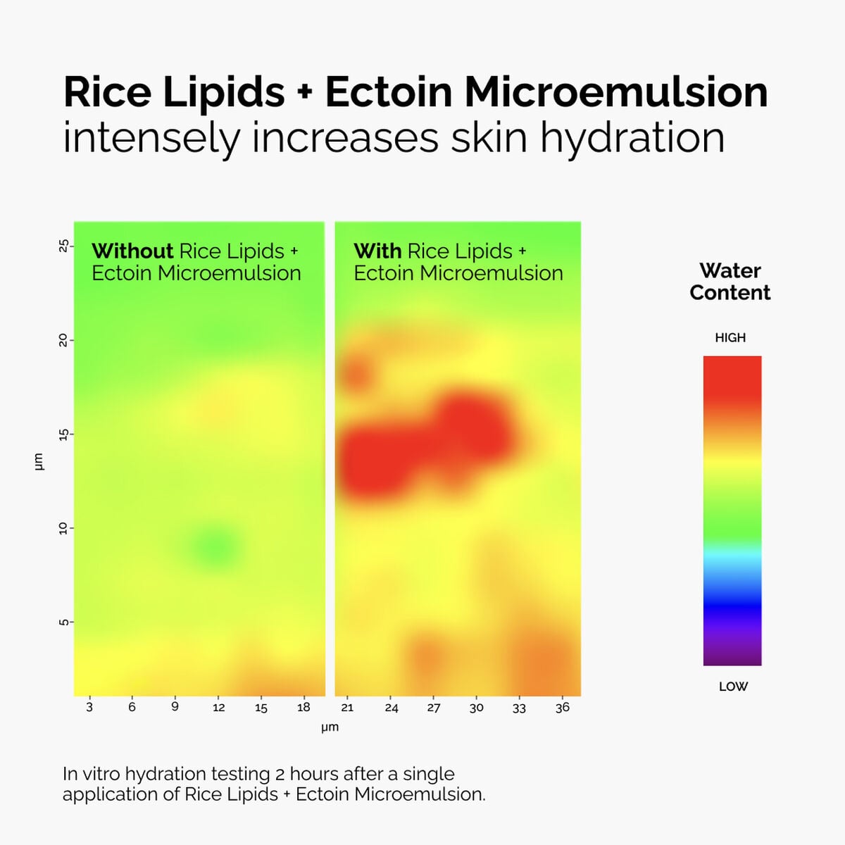 rice-lipids-ectoin-microemulsion-k1 ord-rice-lipids-ectoin-microemulsion-thermal-before-after.jpg